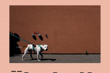 Teatrivalgustaja Targo Miilimaa tänavafotograafia Nukuteatrimuuseumis